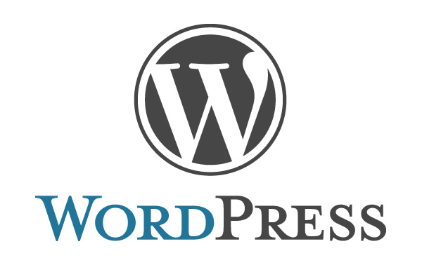 CIDFP - Devenez un expert en WordPress : Apprenez à créer et à gérer un site web professionnel
